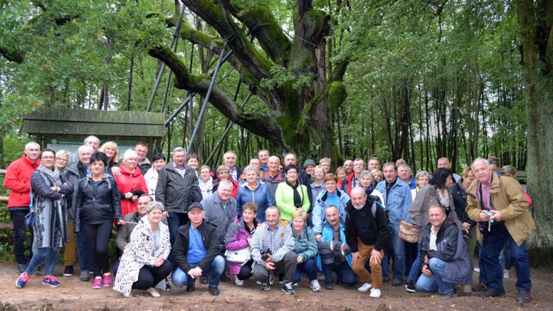 WYCIECZKA w GÓRY ŚWIĘTOKRZYSKIE