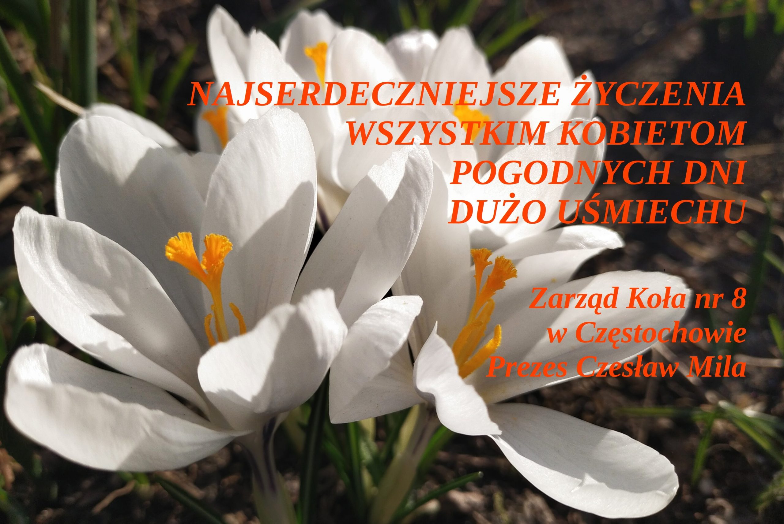 ŻYCZENIA NA DZIEŃ KOBIET