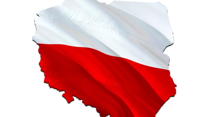 DZIEŃ NIEPODLEGŁOŚCI